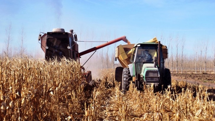 Intensifican el trabajo conjunto con Nación para asegurar la diversificación productiva