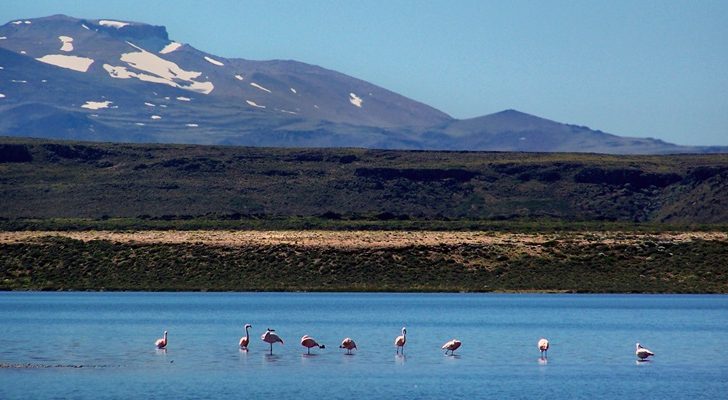 Convocan a un concurso fotográfico sobre Laguna Blanca