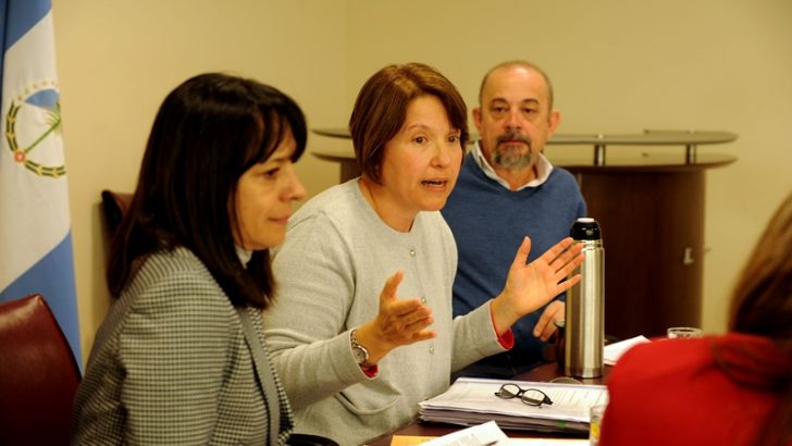 Debaten creación de la Inspección Provincial de Personas Jurídicas