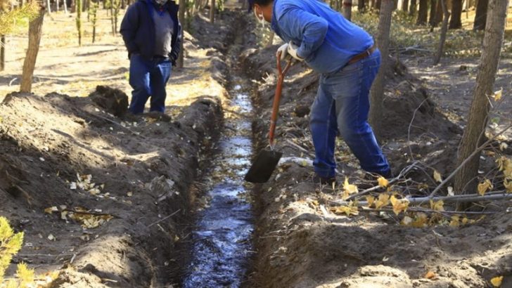 Zapala: Plan de Ordenamiento del Bosque Comunal