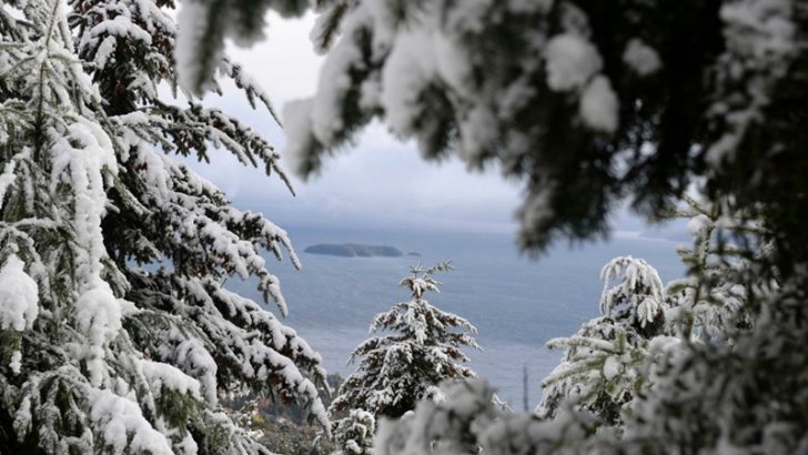 Alerta por nevadas y fuertes vientos en la cordillera