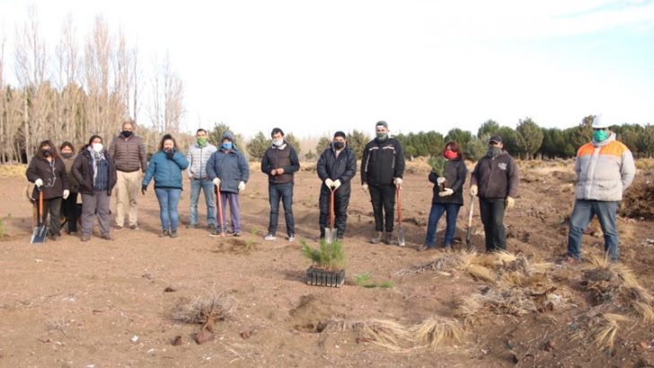 Zapala: Avanzan los trabajos y la forestación en el Bosque Comunal