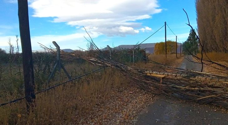 El EPEN trabaja en distintos sectores por fuertes vientos