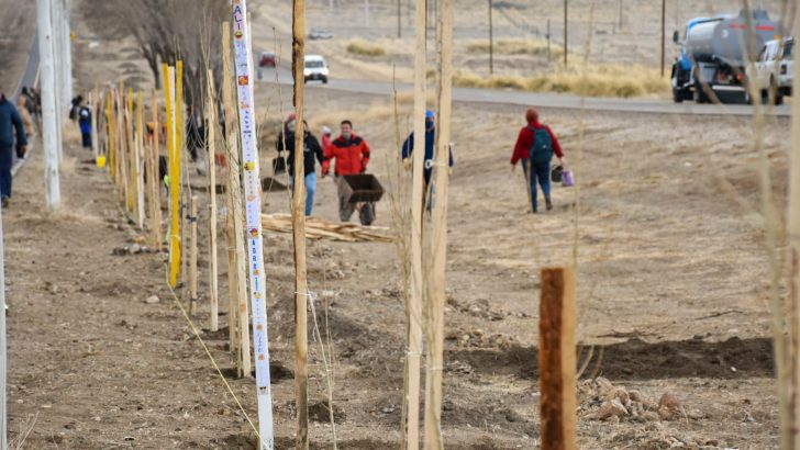 El Municipio comenzó con la forestación de la bicisenda