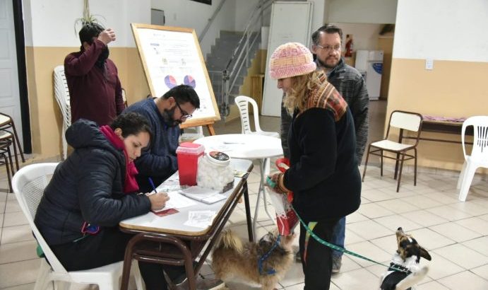 Continúa la campaña de vacunación antirrábica para perros en los barrios