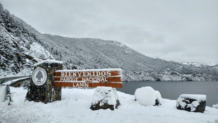 Alerta Preventiva Amarilla por nevadas