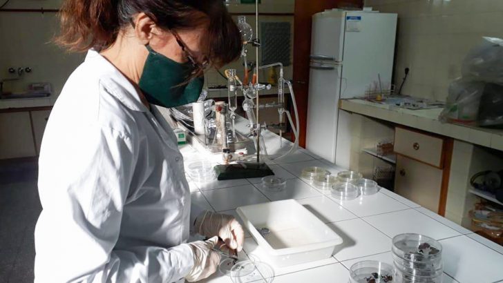 El Laboratorio de Servicios Agrarios y Forestales de Neuquén continúa perfeccionándose