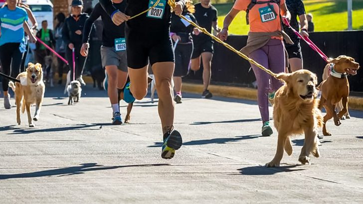 En Zapala invitan a una carrera canina el próximo 29 de abril